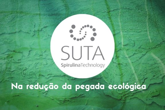 reduzirpegadaescologica