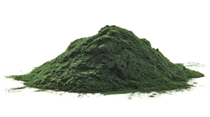 spirulina